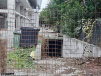 Imagine atasata: Cassa Exclusive Residences 2025.09.11 09.jpg